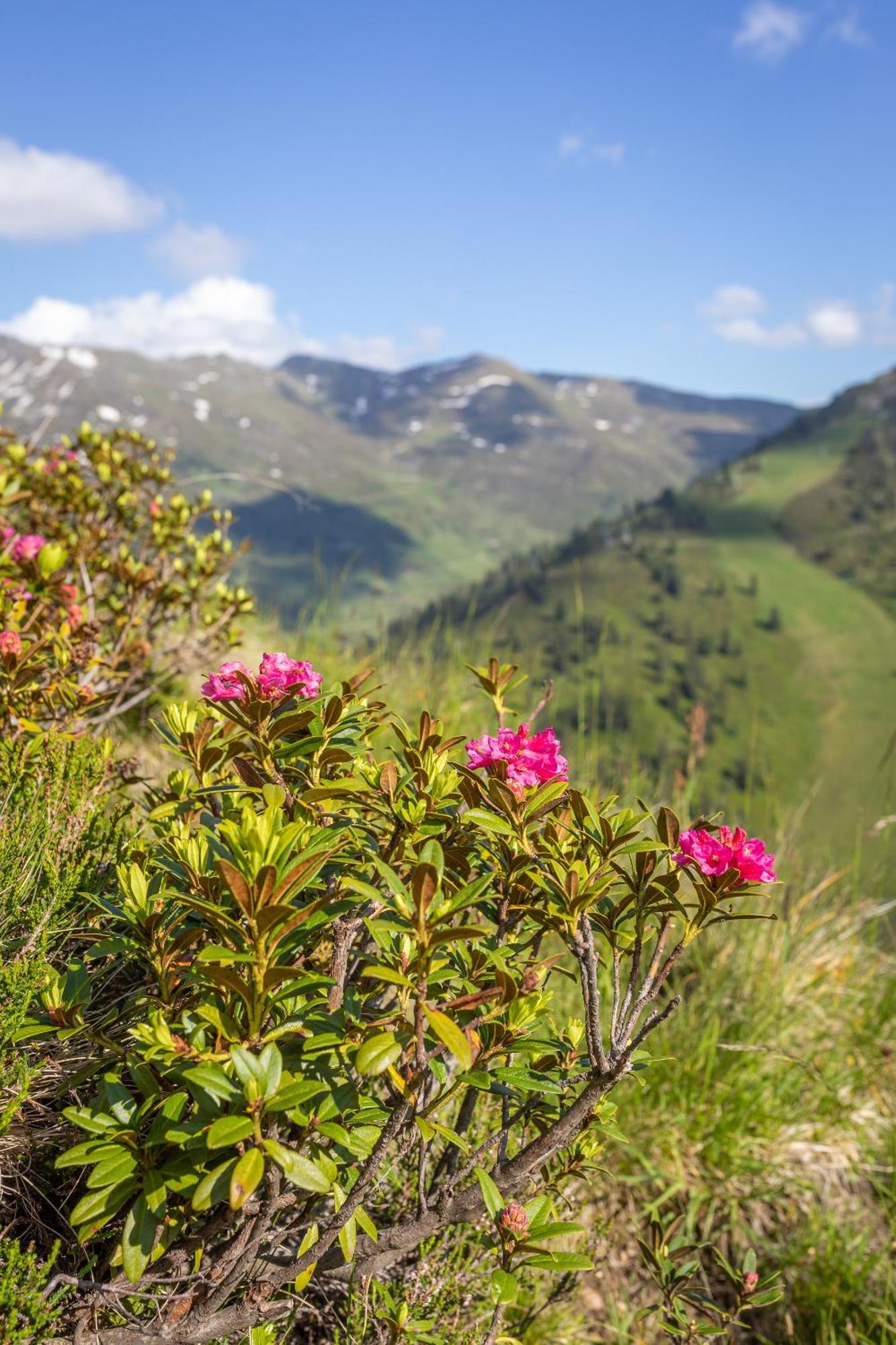 Haus Martina In Hochfuegen - Ohne Verpflegung Luaran gambar